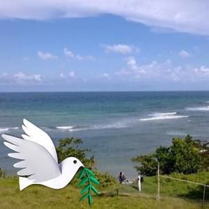 Meet your Posher, Kevan